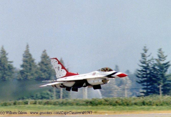 hornet