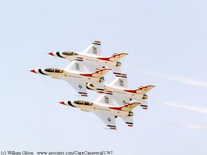 hornet