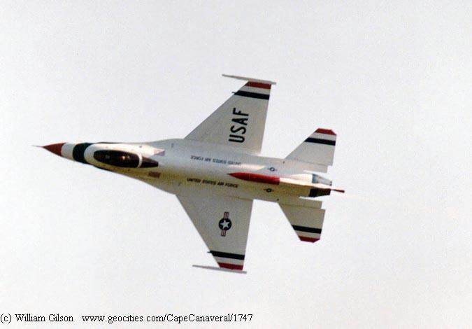 hornet