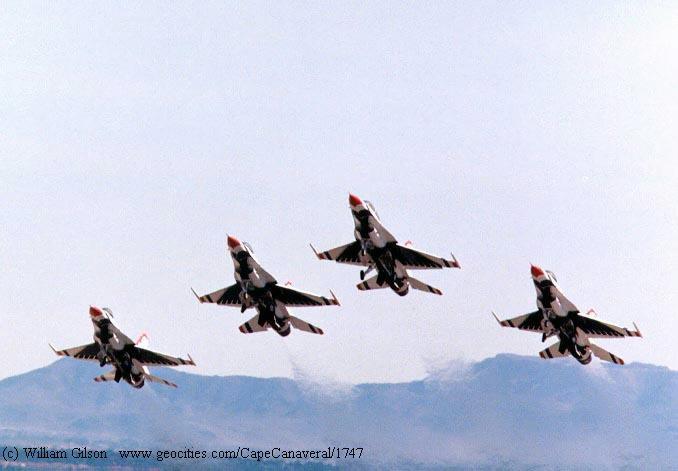 hornet