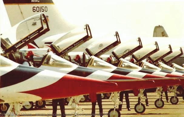 hornet